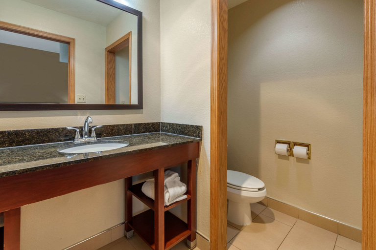 Bathroom 4, Comfort Inn & Suites Kenosha, Kenosha