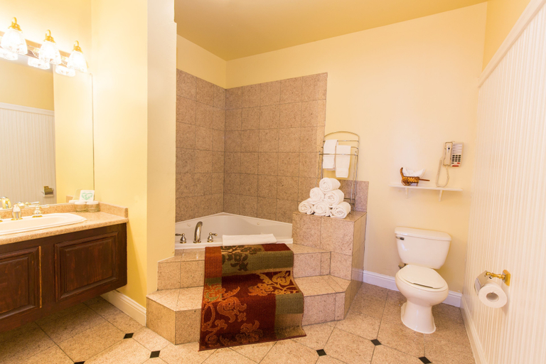 Bathroom 4, Queen Anne Hotel, San Francisco