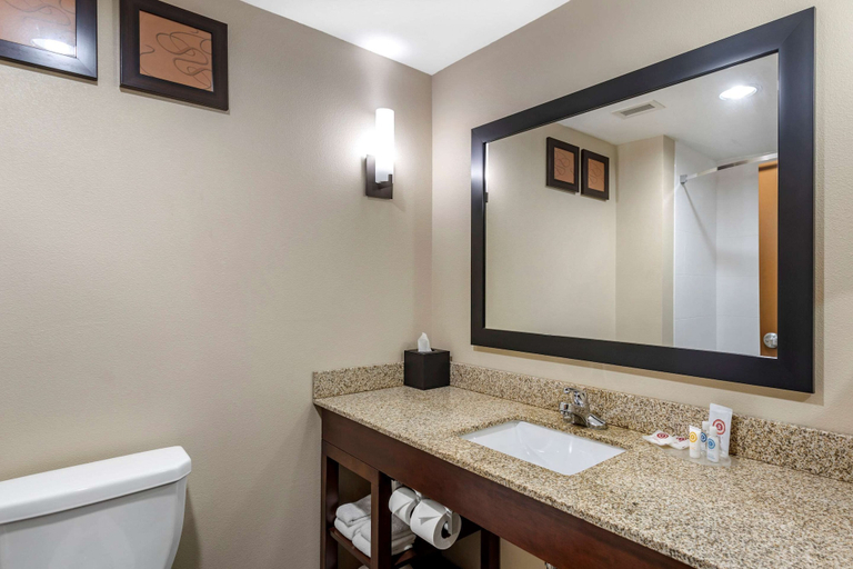 Bathroom 4, Comfort Suites Manchester near Arnold AFB, Coffee
