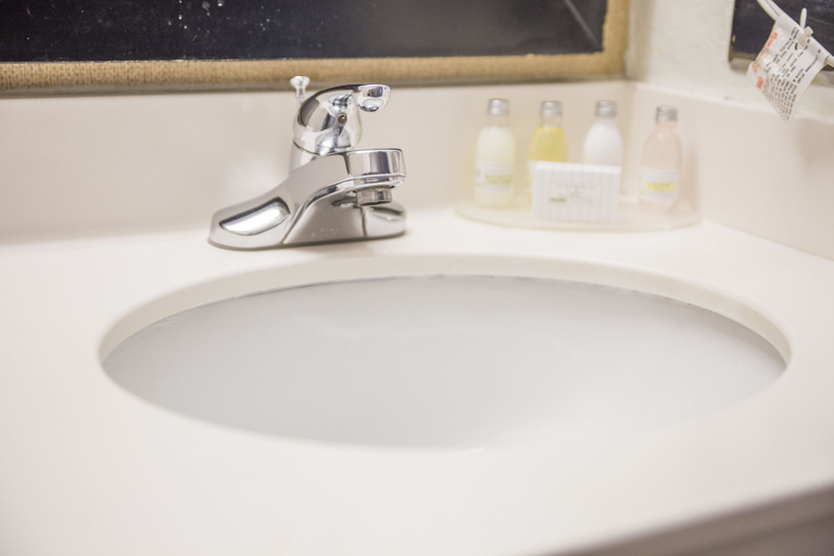 Bathroom 5, Hudson River Hotel, New York