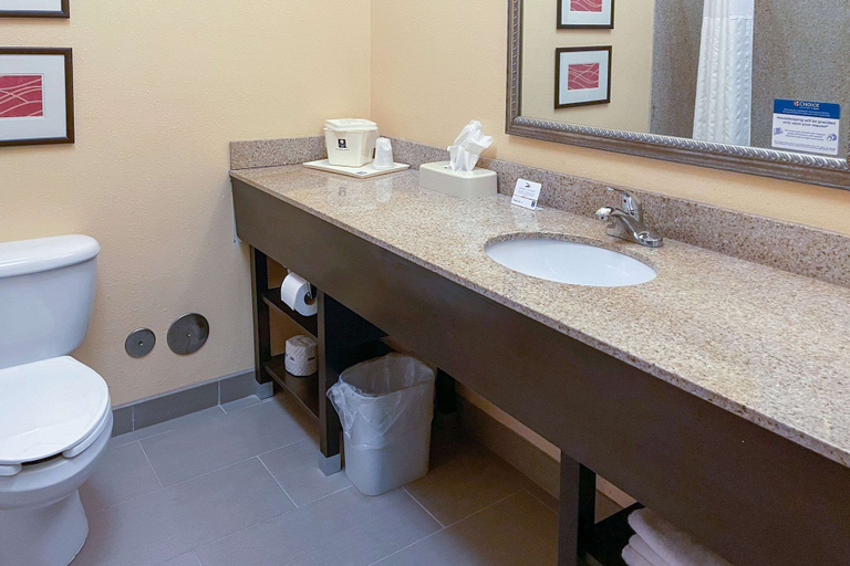 Bathroom 4, Comfort Inn & Suites Rogersville, Hawkins
