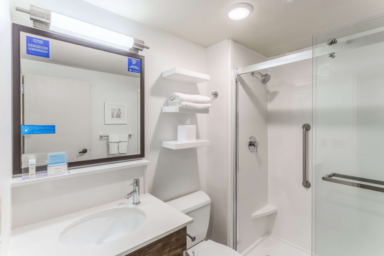 Bathroom 4, Hampton Inn Eau Claire, Eau Claire