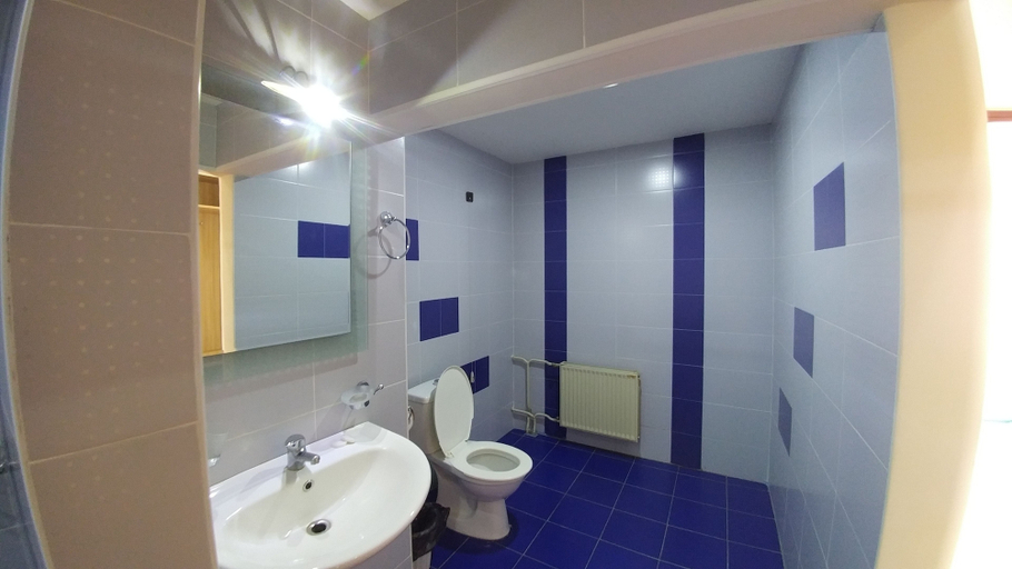 Bathroom 2, Cross Health Center, Yerevan