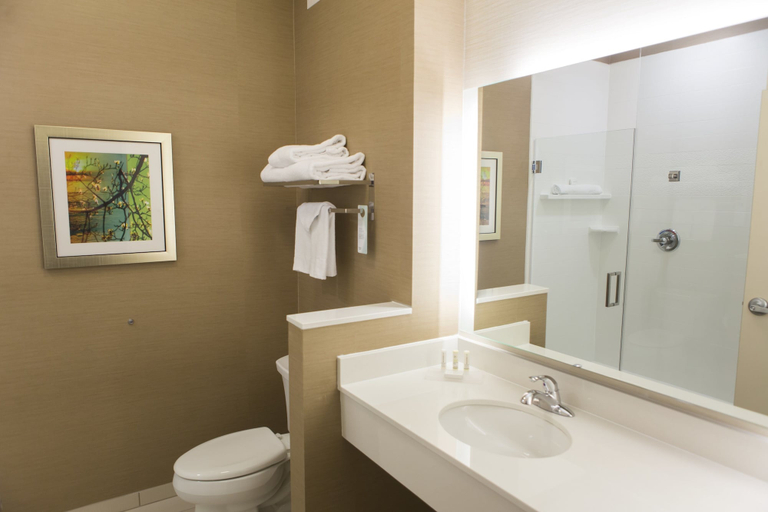 Bathroom 4, Fairfield Inn & Suites Cambridge, Guernsey