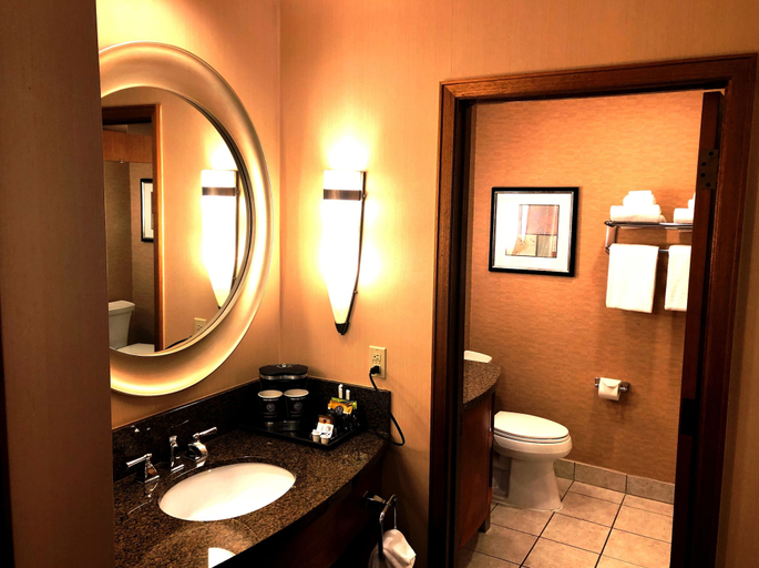 Bathroom 5, DoubleTree by Hilton Durango, La Plata