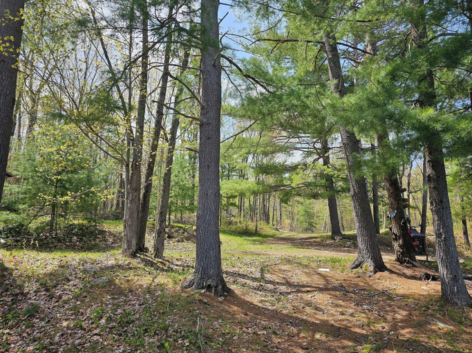Others 5, Mazinaw Lakeside RV Park & Campground, Lennox and Addington