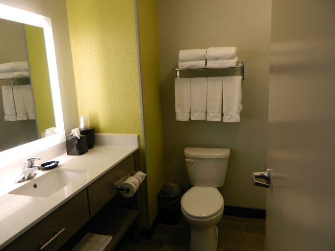 Bathroom 5, Holiday Inn Express & Suites SHIPPENSBURG, Cumberland