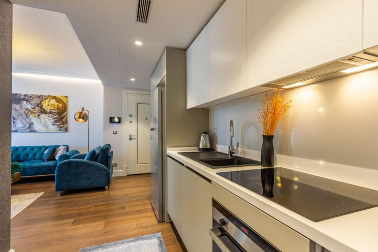 Others 2, Stylish Flat Near Trendy Attractions in Beyoglu, Beyoğlu
