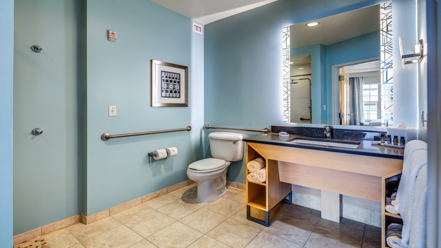 Bathroom 4, Hotel Indigo JACKSONVILLE-DEERWOOD PARK by IHG, Duval