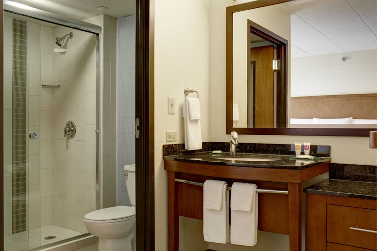 Bathroom 5, Hyatt Place Denver Airport, Denver