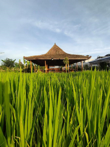 Exterior & Views 5, Glamping Alas Duren Yogyakarta, Sleman