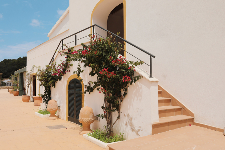 Exterior & Views, Llucatx Menorca, Baleares