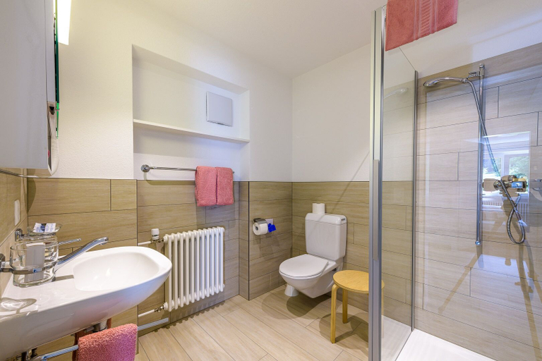Bathroom, Hotel Ristorante Zarera, Bernina