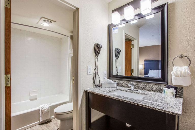 Bathroom 3, Quality Inn & Suites Meridian - West Boise, Ada