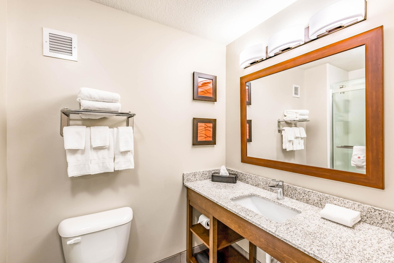 Bathroom 4, Comfort Inn Altoona-Des Moines, Polk