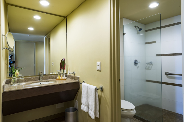 Bathroom 5, Movich Hotel de Pereira, Dosquebradas