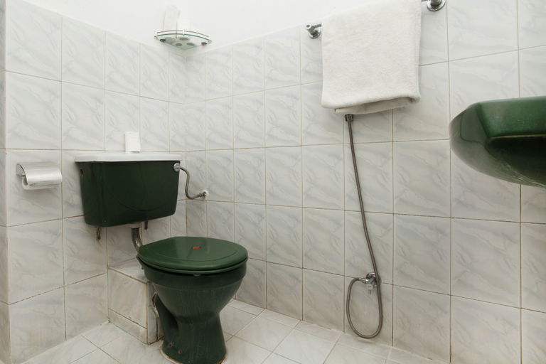 Bathroom 4, Hotel Green Horizon, Bagmati