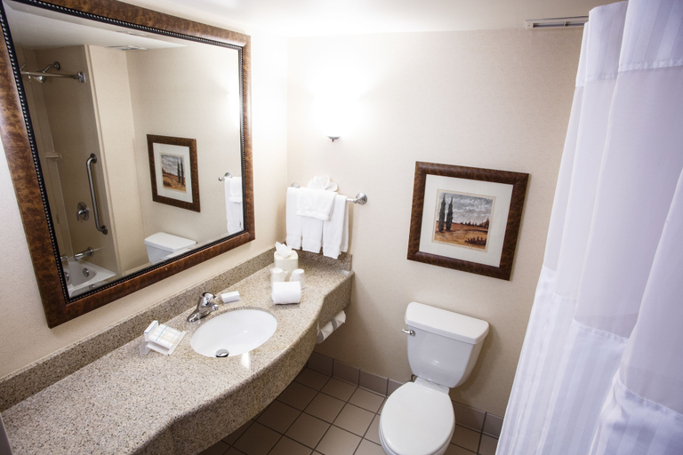 Bathroom 4, Hilton Garden Inn Gettysburg, Adams