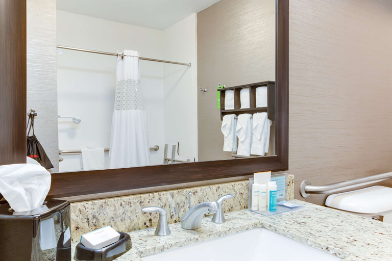Bathroom 4, Hampton Inn Bellevue / Nashville-I-40 West, Davidson