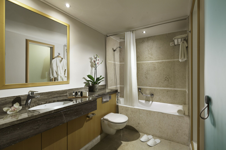 Bathroom 5, Central Athens Hotel, Attica