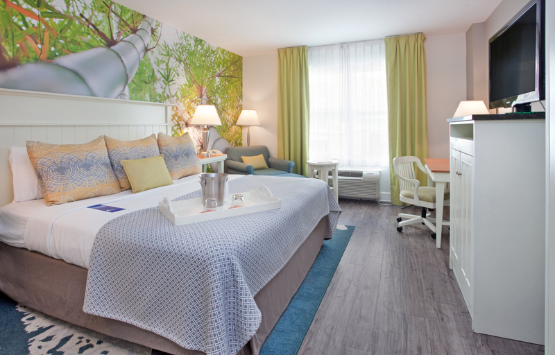 Hotel Indigo SARASOTA Room Type - 1 King Junior Suite