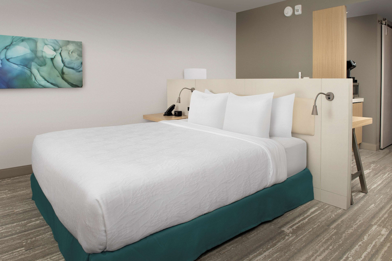 Bedroom 3, Hilton Garden Inn Orlando Downtown, Orange