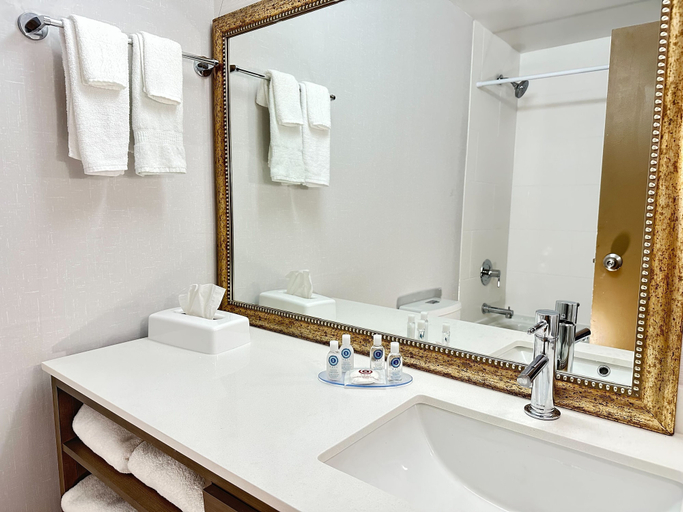 Bathroom 4, Comfort Inn & Suites Barrie, Simcoe