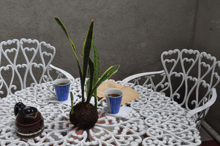 Food & Drinks 5, SUITE U36, Mexico City