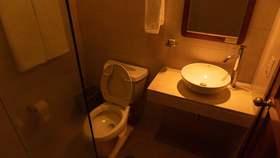 Bathroom 4, Hotel Melanie Tepic, Tepic