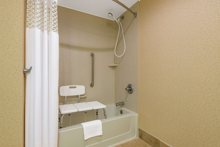 Bathroom 4, Hampton Inn Parkersburg-Mineral Wells, Wood