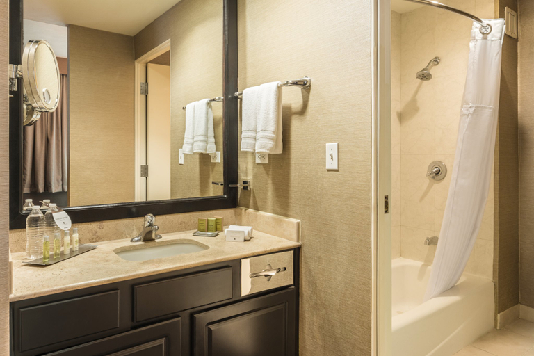 Bathroom 5, voco SALTILLO SUITES by IHG, Saltillo