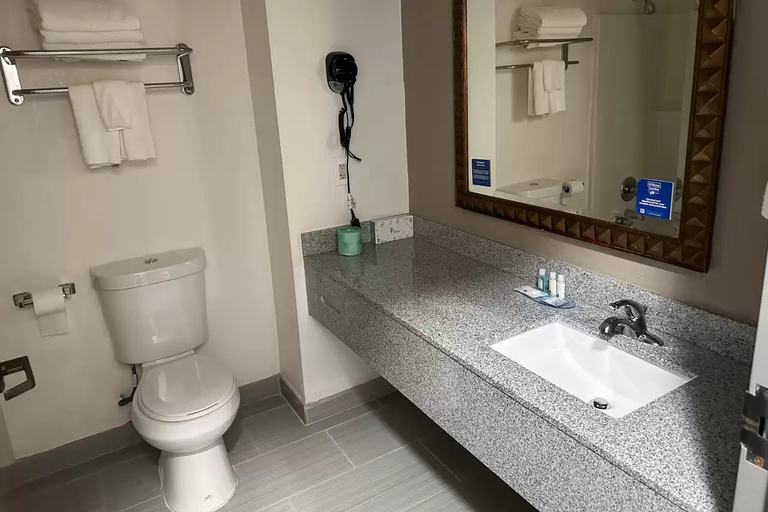 Bathroom, Quality Inn Hazlehurst, Copiah