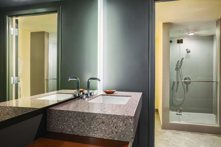 Bathroom 5, Hyatt Regency Houston Downtown, Houston