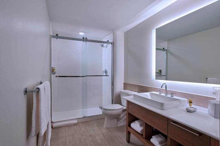 Bathroom 4, Element by Marriott Palmdale, Los Angeles