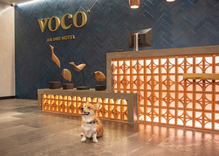 Others 2, voco GUADALAJARA NERUDA by IHG, Guadalajara