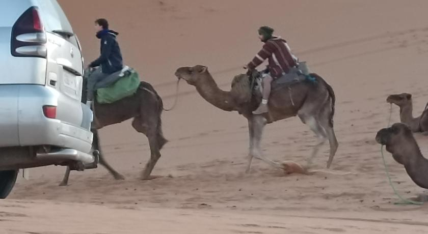 4, Berber Soul luxury Camp, Errachidia