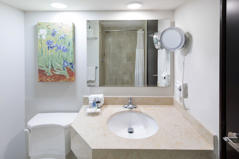 Bathroom 4, Wyndham Executivo Culiacan, Culiacán