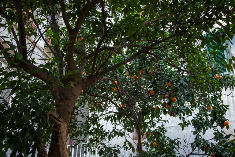 Others 5, Le Stanze del Vicere Boutique Hotel, Napoli