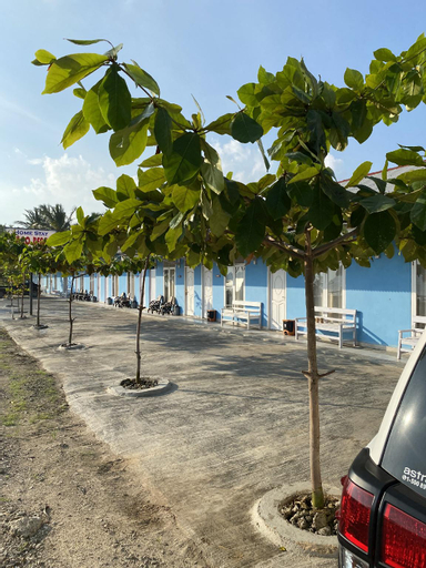 Virgo homestay, South Lampung