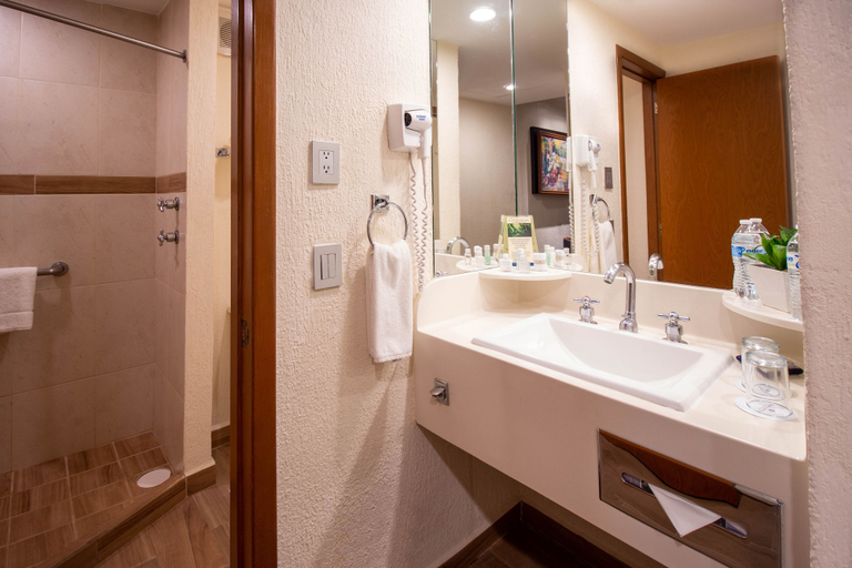 Bathroom, Guadalajara Plaza Expo Business Class, Guadalajara