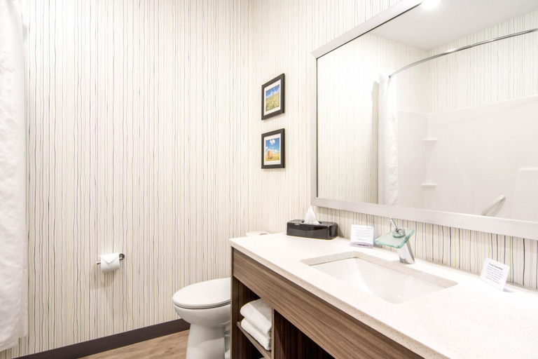 Bathroom 4, Comfort Inn & Suites, Division No. 16