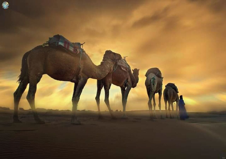 Others 4, Luxury desert camp Merzouga, Errachidia