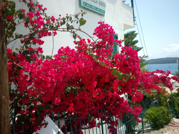 Exterior & Views 2, Bella Vista Apartments, Ionian Islands