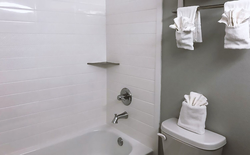 Bathroom 4, Americas Best Value Inn & Suites San Antonio Arena District, Bexar