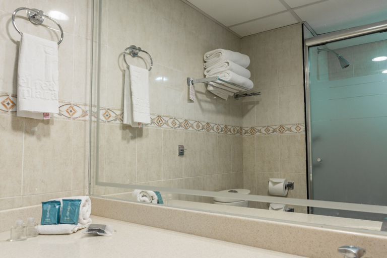 Bathroom 3, Hotel Real Plaza Aguascalientes, Aguascalientes