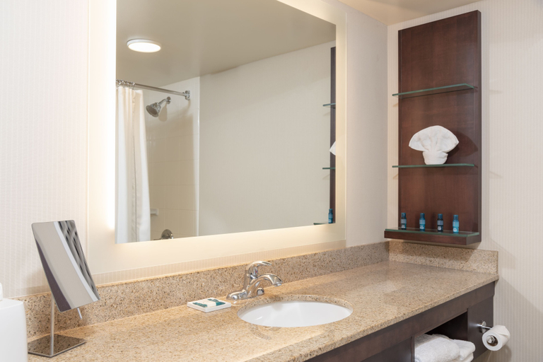Bathroom 4, Delta Hotels by Marriott Kalamazoo Conference Center, Kalamazoo