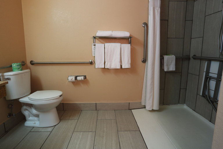 Bathroom 4, Holiday Inn Express O'NEILL by IHG, Holt