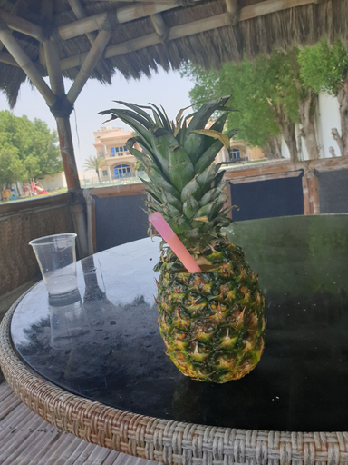 Food & Drinks