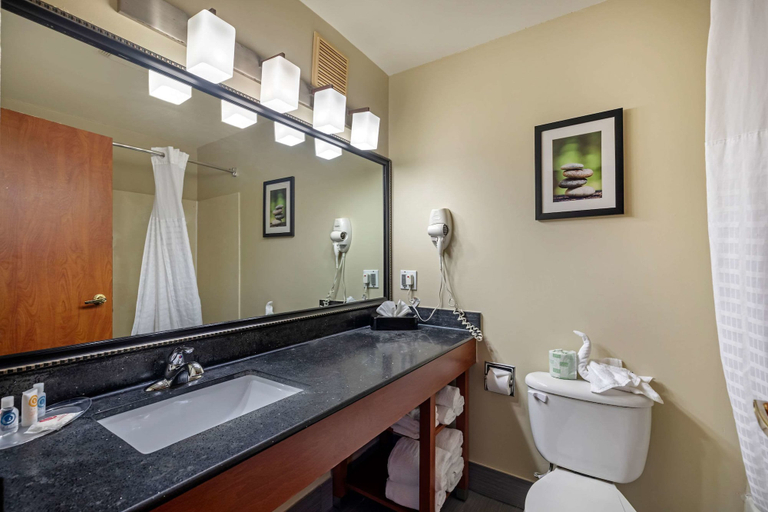 Bathroom 4, Comfort Suites North Dallas, Dallas