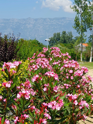 Others 5, Nerium Garden Inn Tirana Airport, Krujës